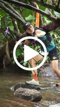 BIB:  <button type="button" onclick="openModal(27565152)" class="btn btn-primary btn-sm float-right" data-toggle="modal" data-target=".modal-high-quality">
                <i class="fa fa-download"></i> Download
                </button>